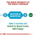 Royal Canin Mini Starter Puppy & Mother Dog Dry Food