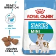 Royal Canin Mini Starter Puppy & Mother Dog Dry Food