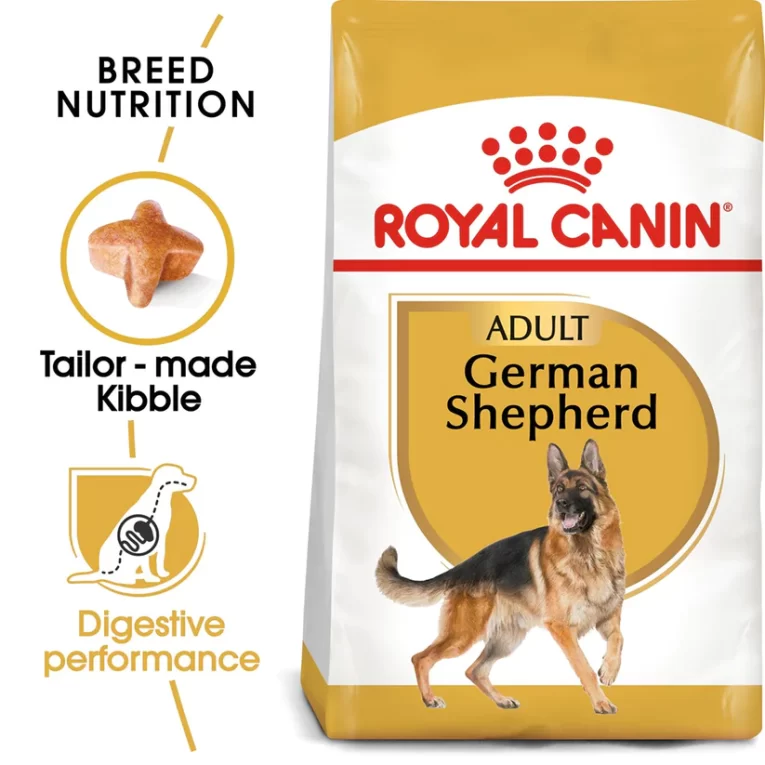 GermanShepherdAdult-8