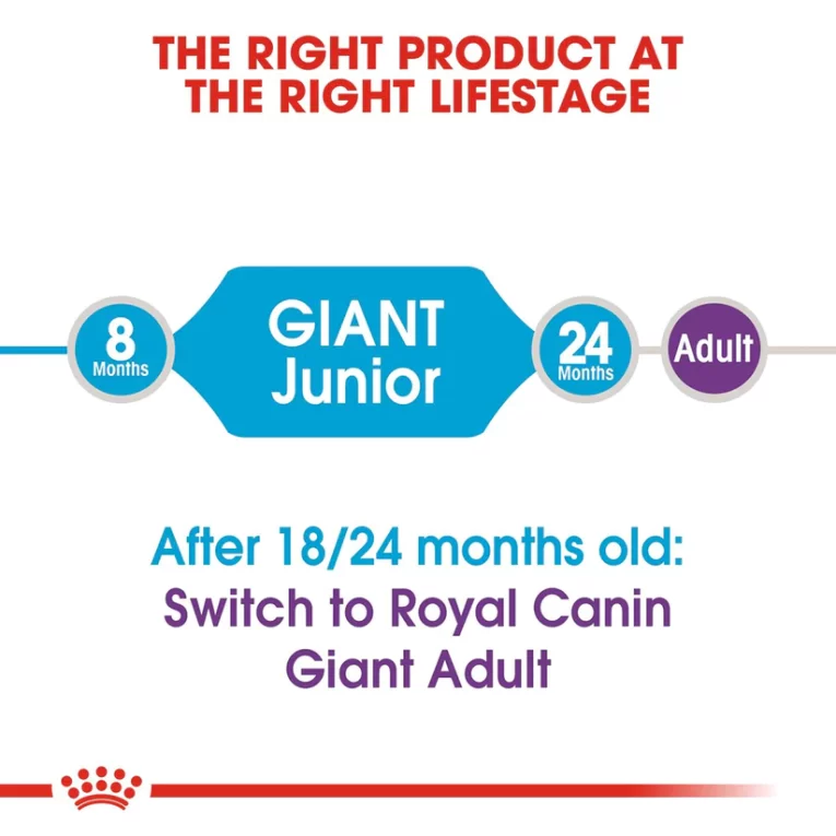 GiantJunior-4 (1)