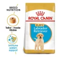 Royal Canin Labrador Retriever Puppy Dog Dry Food