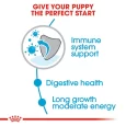 Royal Canin Maxi Puppy Dog Dry Food