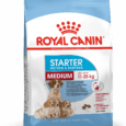 Royal Canin Medium Starter Dog Dry Food