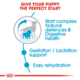 Royal Canin Medium Starter Dog Dry Food