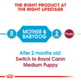 Royal Canin Medium Starter Dog Dry Food