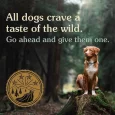 Taste of the Wild Pacific Stream Grain Free Dry Puppy Food – Smoked Salmon