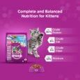 Whiskas Dry Cat Food for Mother and Babycat, Ocean Fish Flavour