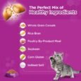 Whiskas Adult (+1 year) Dry Cat Food, Mackerel Flavour