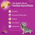 Whiskas Dry Cat Food for Adult Cats (1+ Years), Supports Hairball Control, Chicken & Tuna Flavour