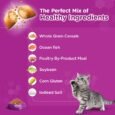 Whiskas Dry Cat Food for Mother and Babycat, Ocean Fish Flavour