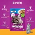 Whiskas Adult Wet Cat Food for (1+Years),Tuna in Jelly Flavour, 85g