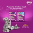 Whiskas Dry Cat Food for Mother and Babycat, Ocean Fish Flavour