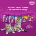 Whiskas Adult (+1 year) Dry Cat Food, Mackerel Flavour