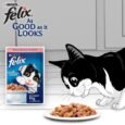 Purina Felix® As Good As It Looks Wet Food for Adult Cats | Complete and Balanced Cat Food | Salmon Flavour