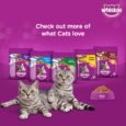 Whiskas Dry Cat Food for Adult Cats (1+ Years), Supports Hairball Control, Chicken & Tuna Flavour