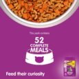 Whiskas Adult (+1 year) Dry Cat Food , Chicken Flavour