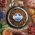 Farmina N&D Pumpkin Chicken Starter Puppy Dry Food