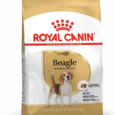 Royal Canin Beagle Adult Dog Food