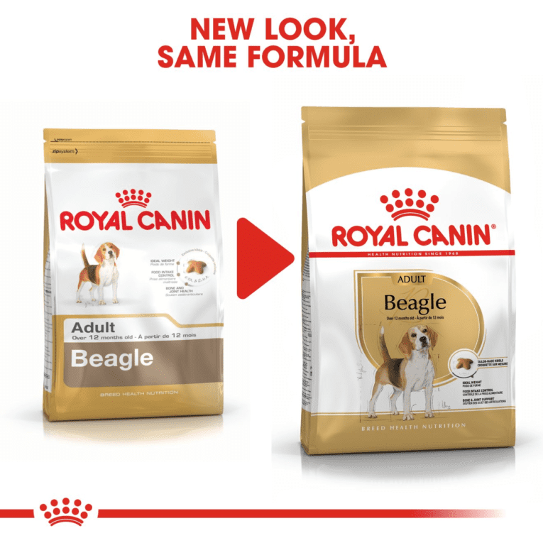 Beagle royal canin hotsell