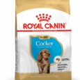 Royal Canin Cocker Puppy Food