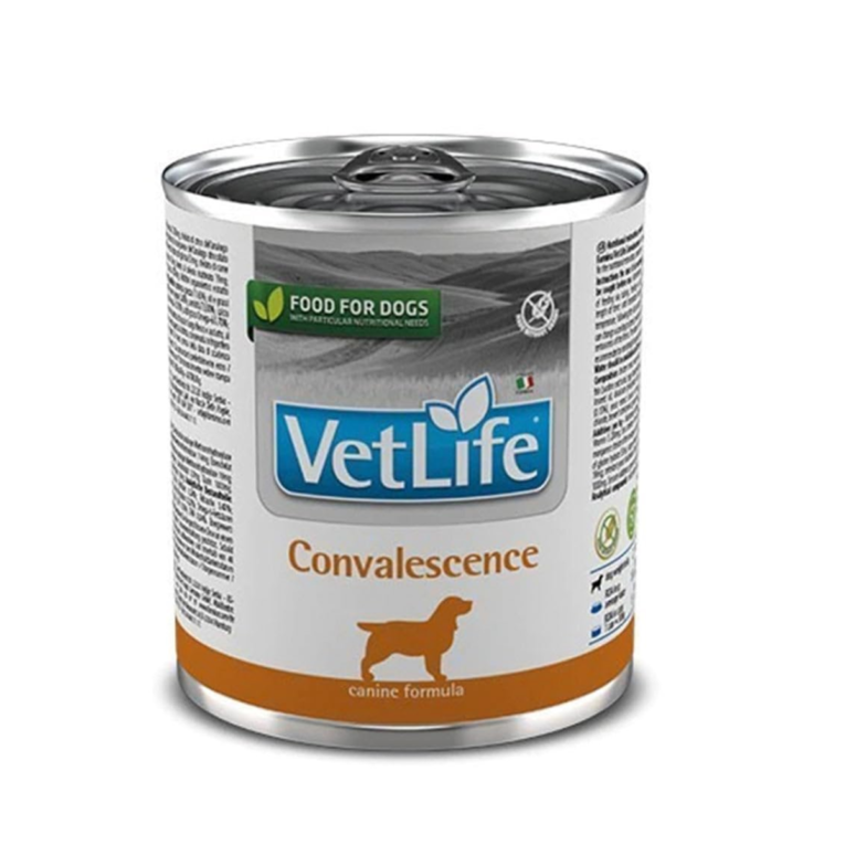 Farmina Vet Life Dog Convalescence Wet Food