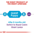 Royal Canin Giant Puppy