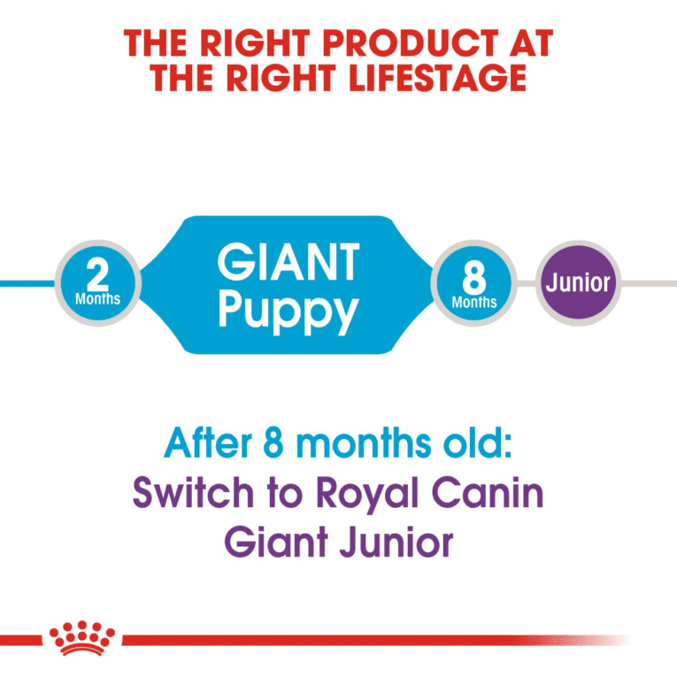 Giant Puppy – 5