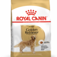 Royal Canin Golden Retriever Adult dog dry food