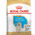 Royal Canin Golden Retriever Puppy Dry Dog Food