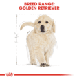 Royal Canin Golden Retriever Puppy Dry Dog Food