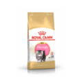 Royal Canin Persian Kitten