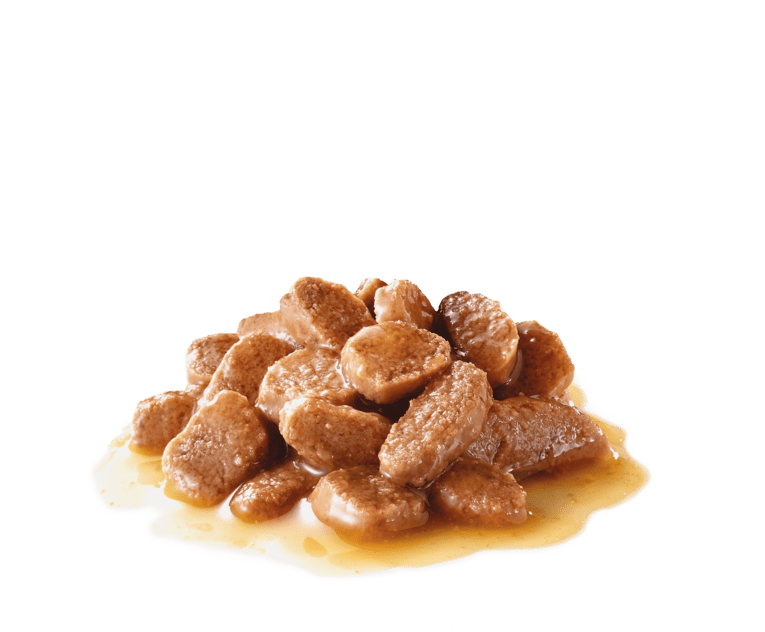 Hairball Care Gravy – 11