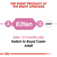 Royal Canin Kitten