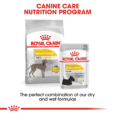 Royal Canin Maxi Dermacomfort