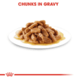 Royal Canin Medium Puppy (Gravy)