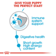 Royal Canin Medium Puppy (Gravy)