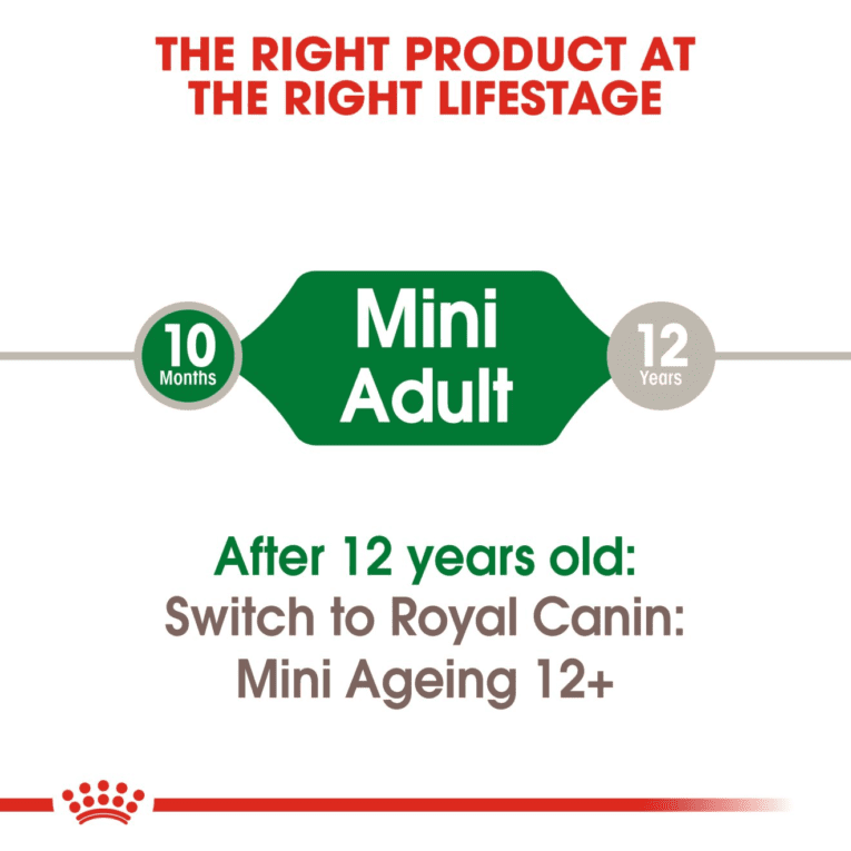 Mini Adult – 11