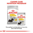 Royal Canin Mini Dermacomfort Dog Food