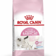 Royal Canin Mother & Babycat