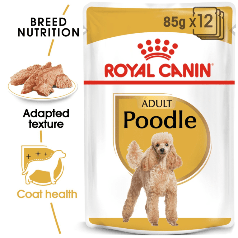 Poodle Adult – 8