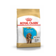 Royal Canin Cocker Puppy Food