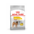 Royal Canin Medium Dermacomfort