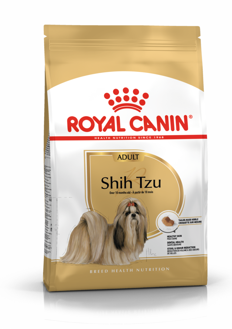 Shih Tzu Adult – 1