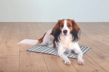 Best Dog Cooling Mat - Trixie