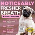 Tropiclean Fresh Breath Oral Care Water Additive for Puppies