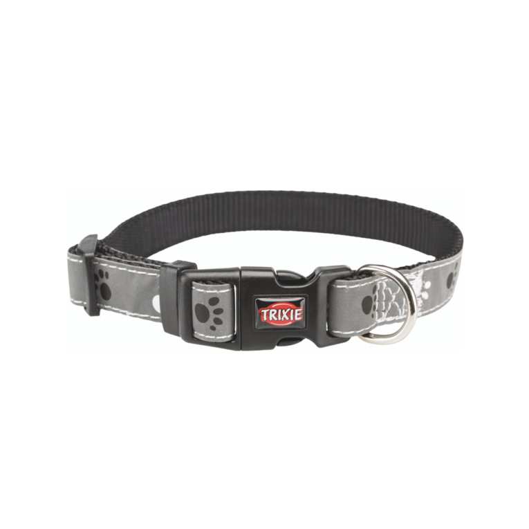 Trixie Silver Reflect Collar