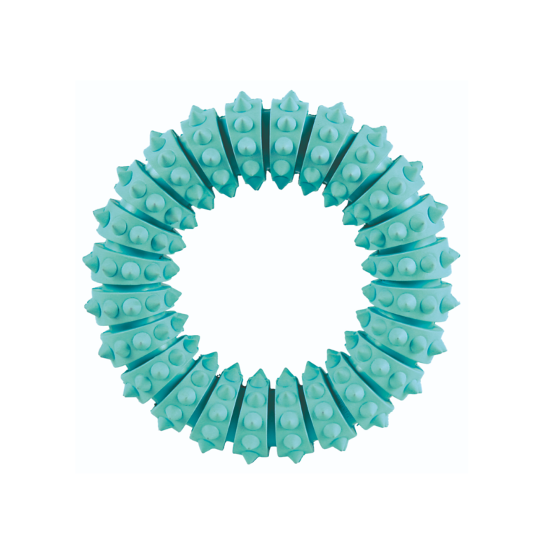 33181-Denta Fun Ring, Mint Flavour, Natural Rubber