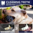 Wagging Master Granite Toys for Aggressive Chewers
