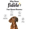 Fidele+ Large Adult Dry Dog Food