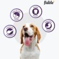 Fidele+ Small & Medium Adult Dry Dog Food